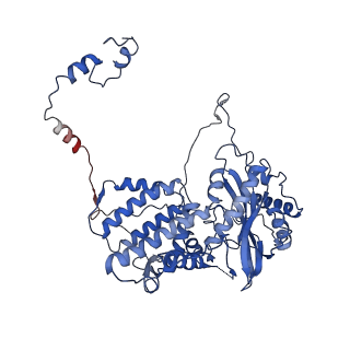 9887_6kuj_A_v1-1
Structure of influenza D virus polymerase bound to cRNA promoter in class 1