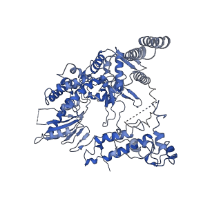 9887_6kuj_B_v1-1
Structure of influenza D virus polymerase bound to cRNA promoter in class 1