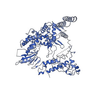 9887_6kuj_B_v1-2
Structure of influenza D virus polymerase bound to cRNA promoter in class 1