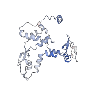 9887_6kuj_C_v1-1
Structure of influenza D virus polymerase bound to cRNA promoter in class 1