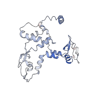 9887_6kuj_C_v1-2
Structure of influenza D virus polymerase bound to cRNA promoter in class 1