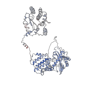 9888_6kuv_A_v1-2
Structure of influenza D virus polymerase bound to cRNA promoter in class 2