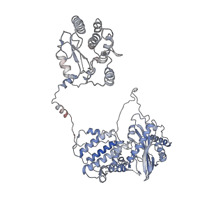 9888_6kuv_A_v1-3
Structure of influenza D virus polymerase bound to cRNA promoter in class 2