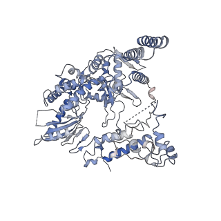 9888_6kuv_B_v1-3
Structure of influenza D virus polymerase bound to cRNA promoter in class 2