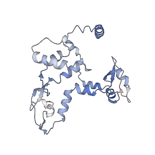 9888_6kuv_C_v1-2
Structure of influenza D virus polymerase bound to cRNA promoter in class 2