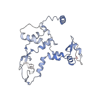 9888_6kuv_C_v1-3
Structure of influenza D virus polymerase bound to cRNA promoter in class 2