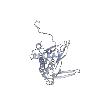 23046_7kvc_A_v1-1
Cryo-EM structure of Mal de Rio Cuarto virus P9-1 viroplasm protein (decamer)