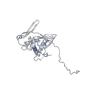 23046_7kvc_B_v1-1
Cryo-EM structure of Mal de Rio Cuarto virus P9-1 viroplasm protein (decamer)