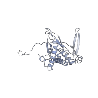 23046_7kvc_C_v1-1
Cryo-EM structure of Mal de Rio Cuarto virus P9-1 viroplasm protein (decamer)