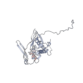 23046_7kvc_D_v1-1
Cryo-EM structure of Mal de Rio Cuarto virus P9-1 viroplasm protein (decamer)