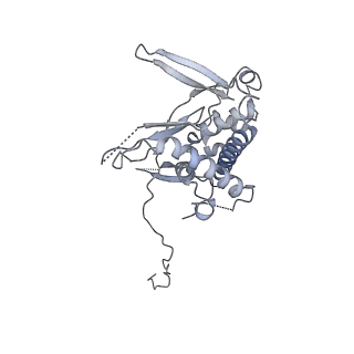 23046_7kvc_E_v1-1
Cryo-EM structure of Mal de Rio Cuarto virus P9-1 viroplasm protein (decamer)