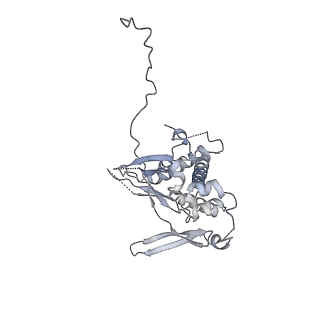 23046_7kvc_F_v1-1
Cryo-EM structure of Mal de Rio Cuarto virus P9-1 viroplasm protein (decamer)