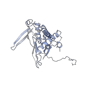 23046_7kvc_G_v1-1
Cryo-EM structure of Mal de Rio Cuarto virus P9-1 viroplasm protein (decamer)
