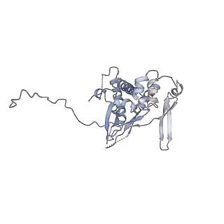 23046_7kvc_H_v1-1
Cryo-EM structure of Mal de Rio Cuarto virus P9-1 viroplasm protein (decamer)