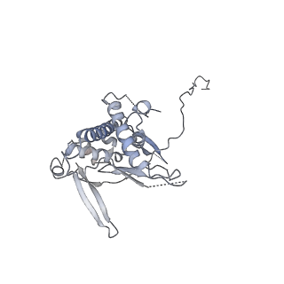 23046_7kvc_I_v1-1
Cryo-EM structure of Mal de Rio Cuarto virus P9-1 viroplasm protein (decamer)
