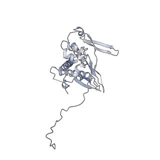 23046_7kvc_J_v1-1
Cryo-EM structure of Mal de Rio Cuarto virus P9-1 viroplasm protein (decamer)