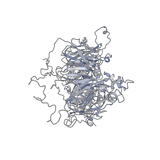 23049_7kvf_B_v1-2
Cryo-EM structure of human Factor V at 3.6 Angstrom resolution