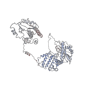 9577_6kv5_A_v1-2
Structure of influenza D virus apo polymerase