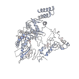9577_6kv5_B_v1-2
Structure of influenza D virus apo polymerase
