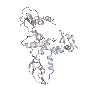 9577_6kv5_C_v1-2
Structure of influenza D virus apo polymerase