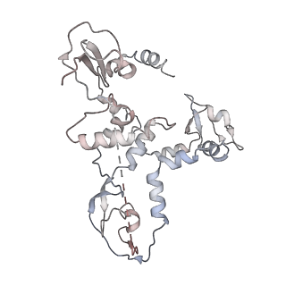 9577_6kv5_C_v1-3
Structure of influenza D virus apo polymerase