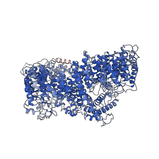 0780_6kwx_A_v2-1
cryo-EM structure of human PA200