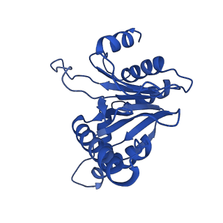 0781_6kwy_A_v2-1
human PA200-20S complex