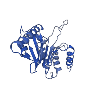 0781_6kwy_C_v2-1
human PA200-20S complex