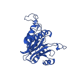 0781_6kwy_D_v2-1
human PA200-20S complex