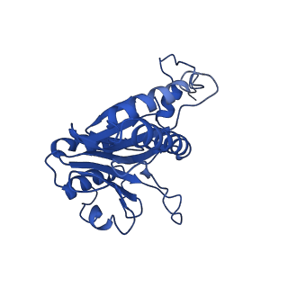 0781_6kwy_E_v2-1
human PA200-20S complex