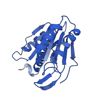 0781_6kwy_I_v2-1
human PA200-20S complex