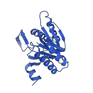 0781_6kwy_K_v2-1
human PA200-20S complex