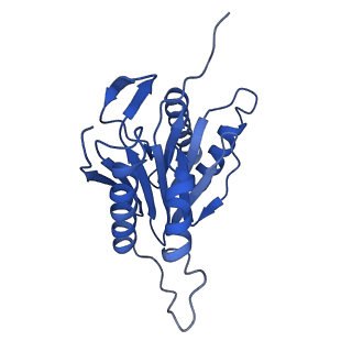 0781_6kwy_L_v2-1
human PA200-20S complex