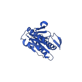 0781_6kwy_N_v2-1
human PA200-20S complex