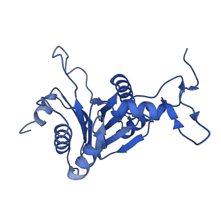 0781_6kwy_O_v2-1
human PA200-20S complex