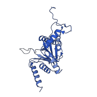 0781_6kwy_P_v2-1
human PA200-20S complex