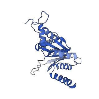 0781_6kwy_Q_v2-1
human PA200-20S complex