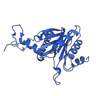 0781_6kwy_R_v2-1
human PA200-20S complex