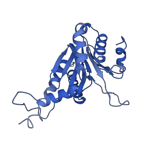 0781_6kwy_S_v2-1
human PA200-20S complex