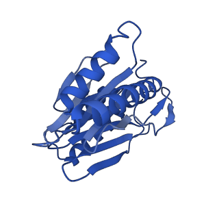 0781_6kwy_W_v2-1
human PA200-20S complex