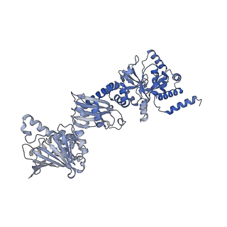 23050_7kw7_A_v1-2
Atomic cryoEM structure of Hsp90-Hsp70-Hop-GR