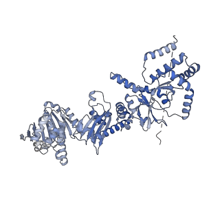 23050_7kw7_B_v1-2
Atomic cryoEM structure of Hsp90-Hsp70-Hop-GR
