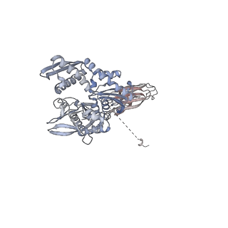 23050_7kw7_C_v1-2
Atomic cryoEM structure of Hsp90-Hsp70-Hop-GR
