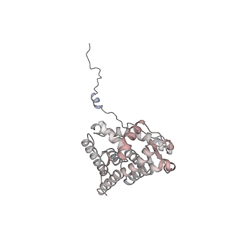 23050_7kw7_F_v1-2
Atomic cryoEM structure of Hsp90-Hsp70-Hop-GR