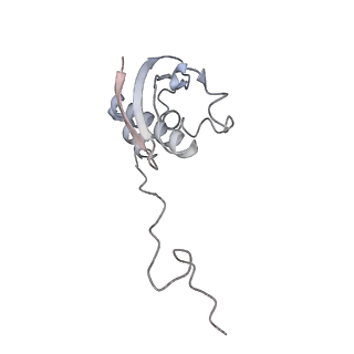 23052_7kwg_i_v1-2
Staphylococcus aureus 30S ribosomal subunit in presence of spermidine