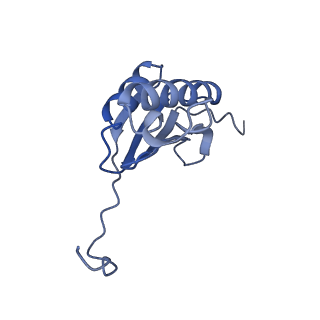 23052_7kwg_k_v1-2
Staphylococcus aureus 30S ribosomal subunit in presence of spermidine