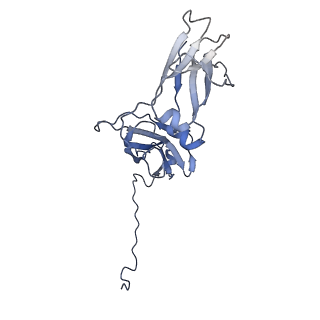 0782_6kxs_A_v1-0
Cryo-EM structure of human IgM-Fc in complex with the J chain and the ectodomain of pIgR