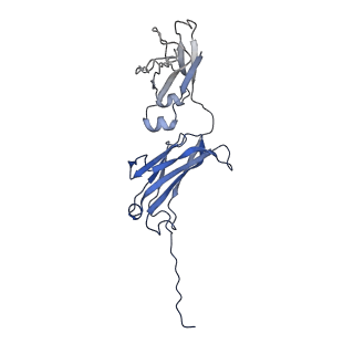 0782_6kxs_B_v1-0
Cryo-EM structure of human IgM-Fc in complex with the J chain and the ectodomain of pIgR