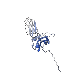 0782_6kxs_D_v1-0
Cryo-EM structure of human IgM-Fc in complex with the J chain and the ectodomain of pIgR