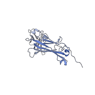 0782_6kxs_E_v1-0
Cryo-EM structure of human IgM-Fc in complex with the J chain and the ectodomain of pIgR